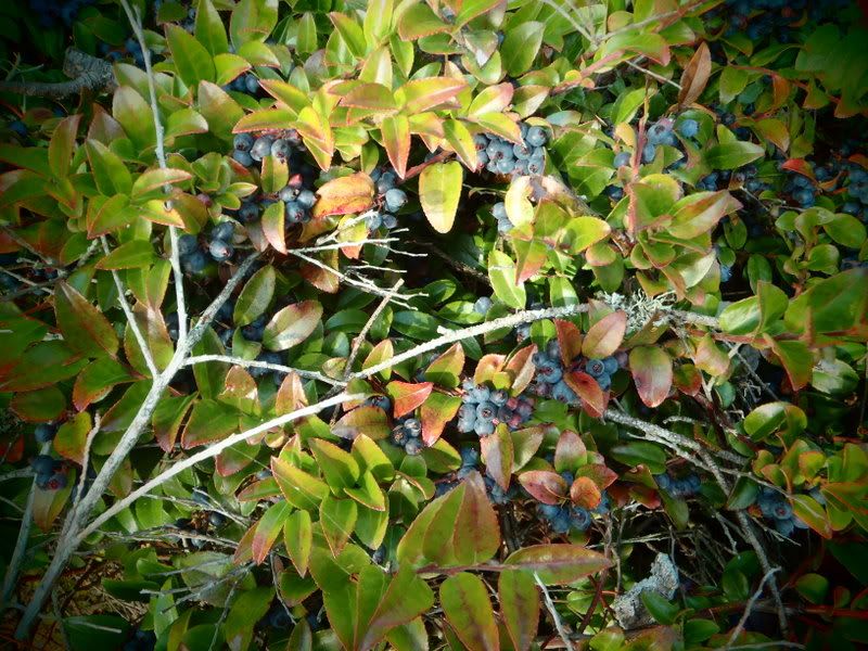 PC040007.jpg
