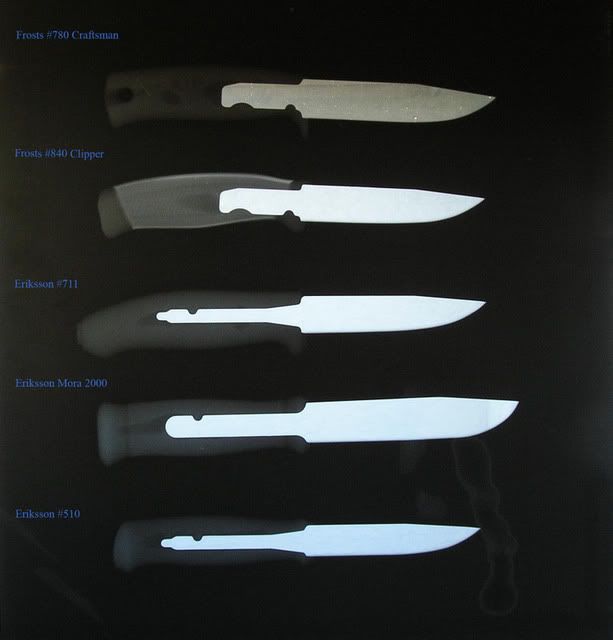 Mora-xray-wtext.jpg