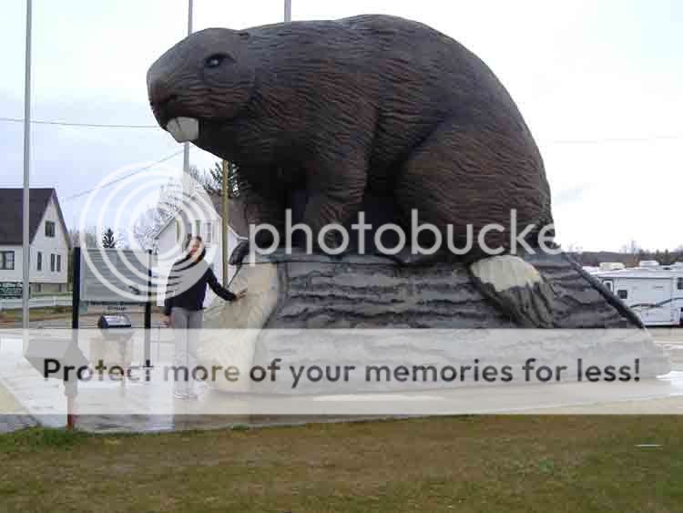 bettysbeavershot.jpg