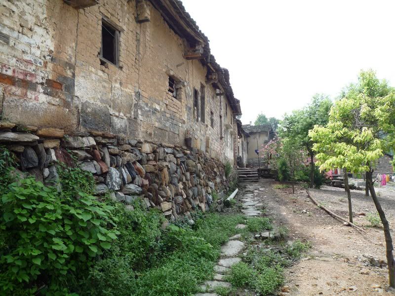 P1000906.jpg