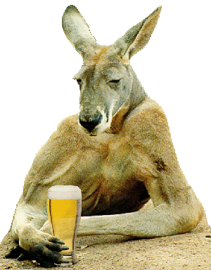 kangaroohilarious.gif