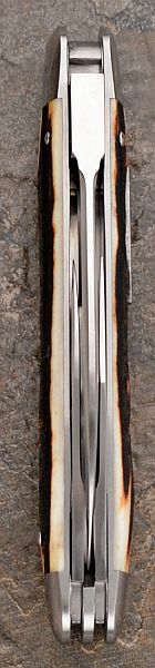tbose-378stagwharncliffeLBW0-5.jpg