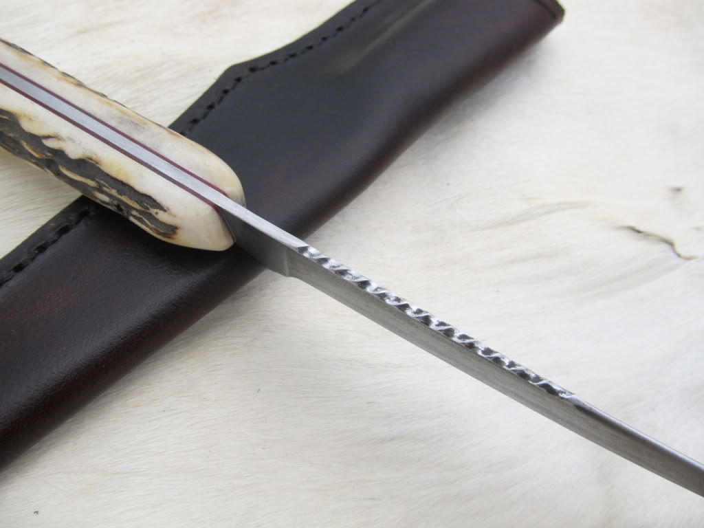 stagBT009.jpg