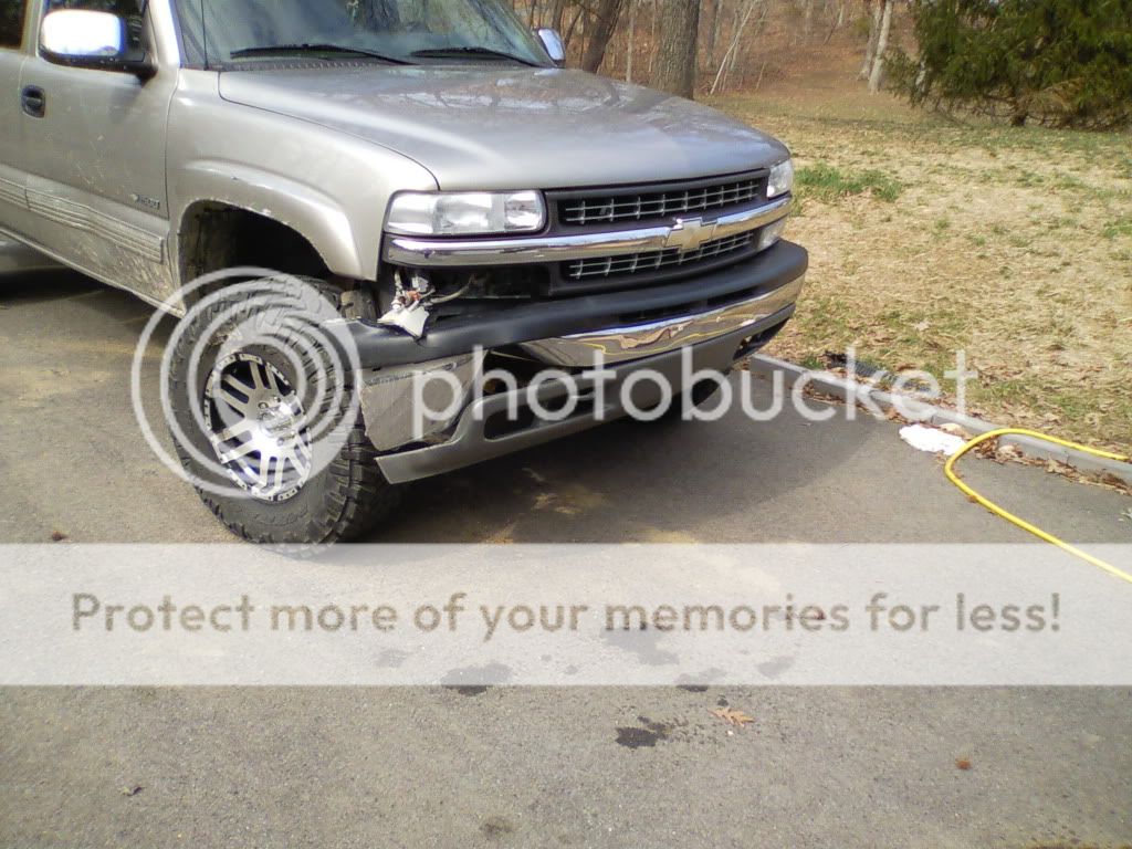 deerdamage.jpg