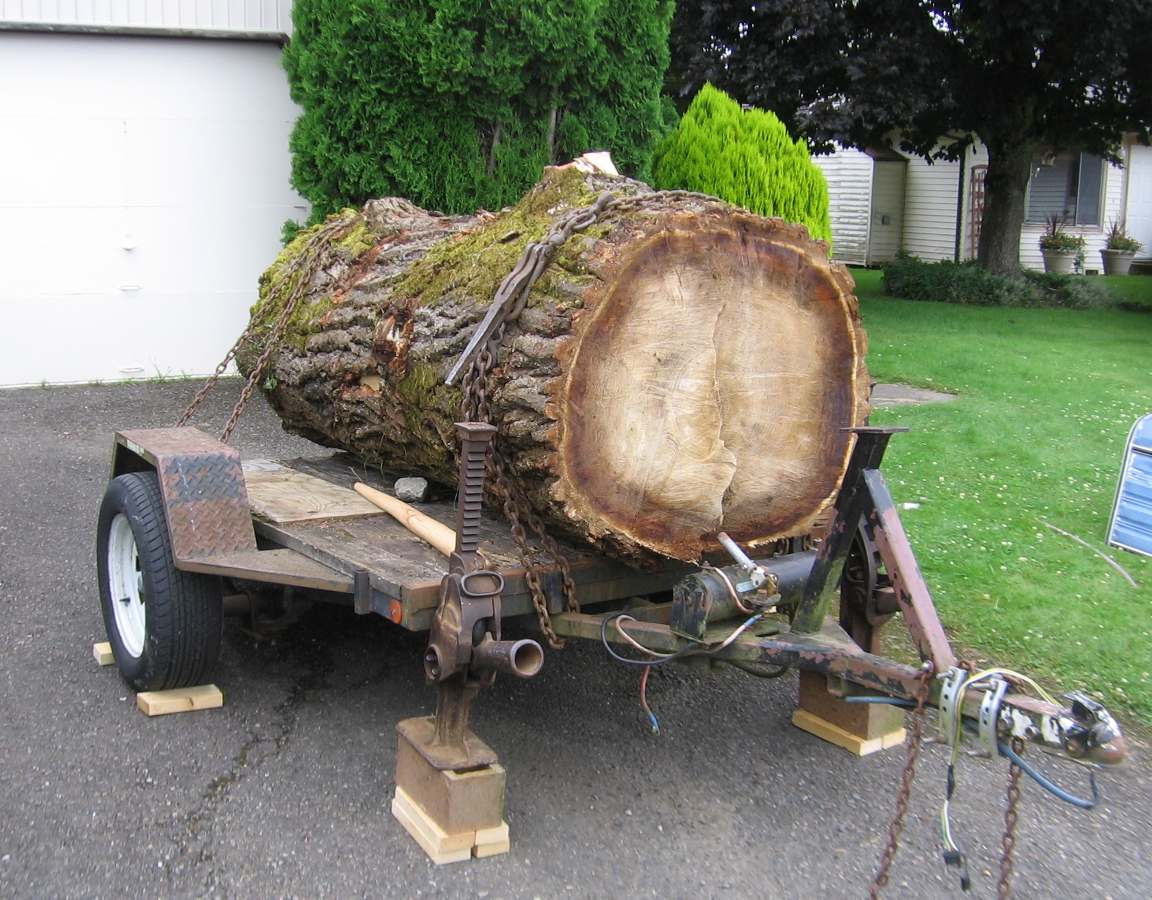 Ton%20of%20Firewood.jpg