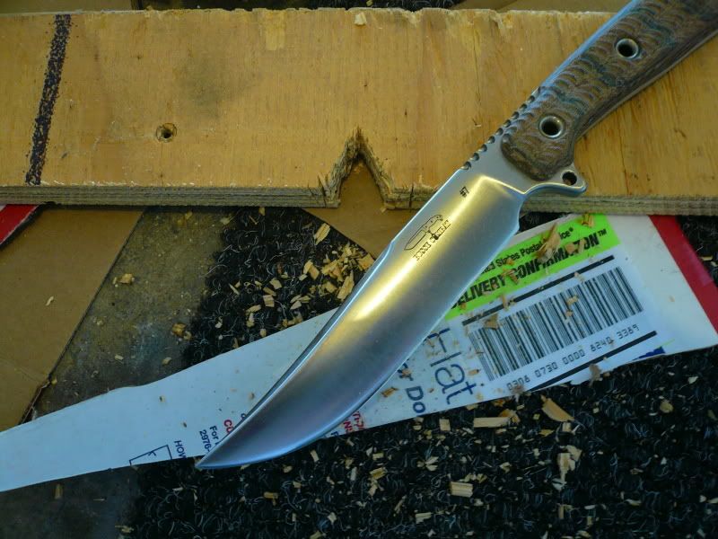 cutting002.jpg