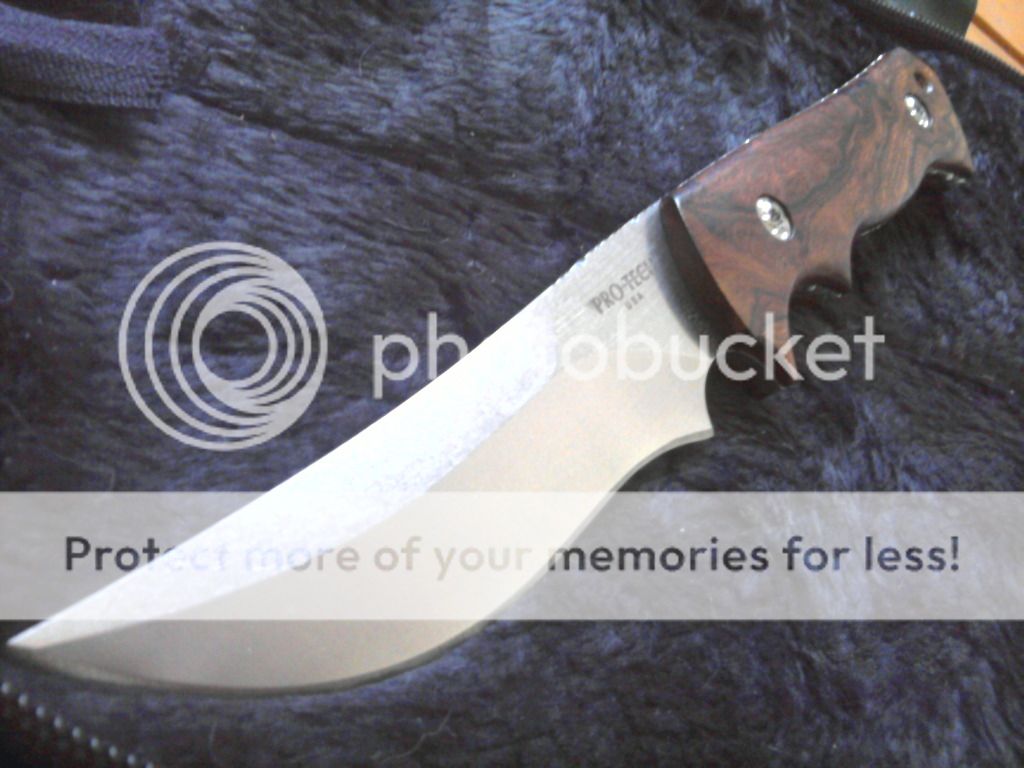 Picture174.jpg