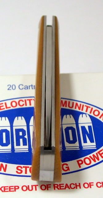 DSCN2308.jpg