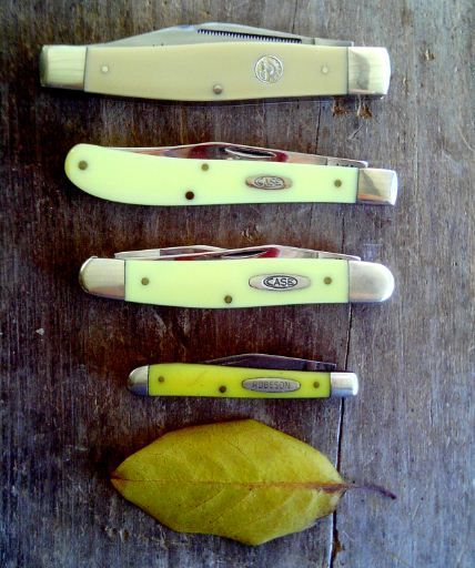 Yellowscales_zpsa4bfdcb8.jpg