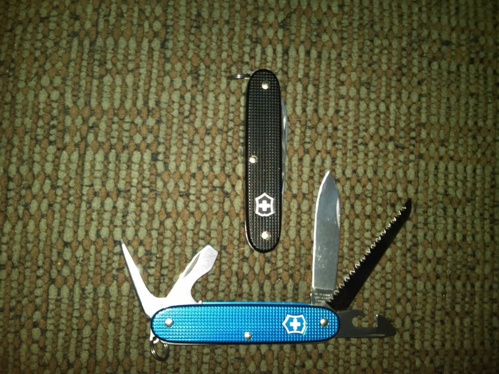 SAK2.jpg