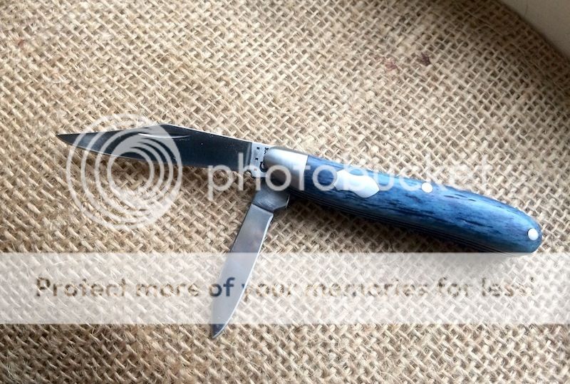 IMG_6763.jpg~original