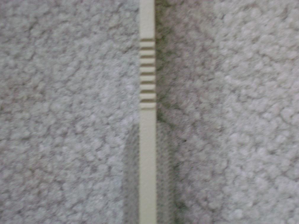 DSC02142.jpg