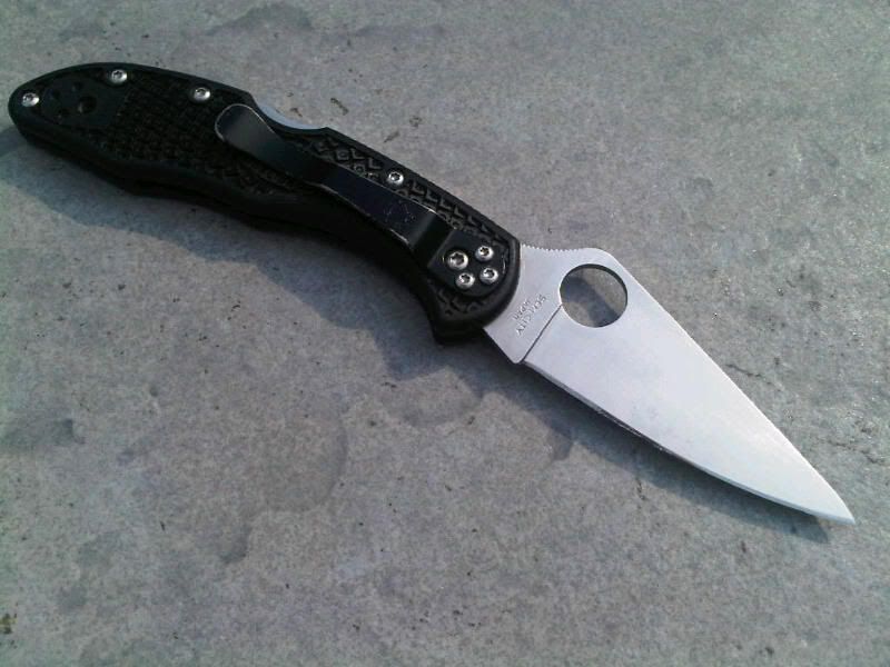 delica.jpg
