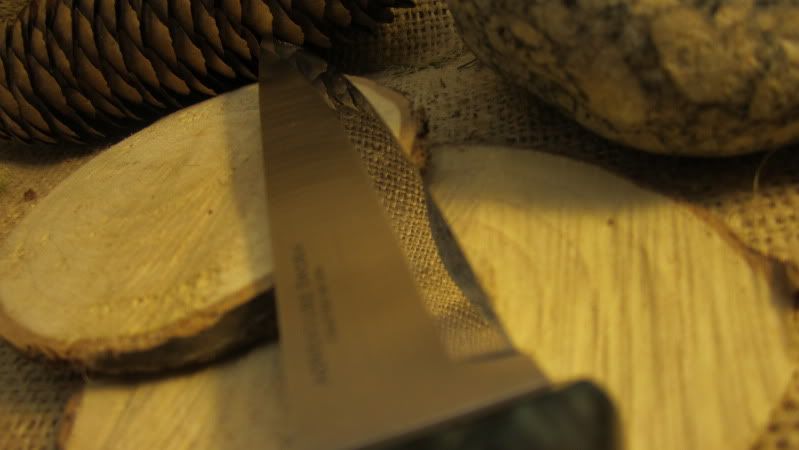 BushcraftKnife010.jpg