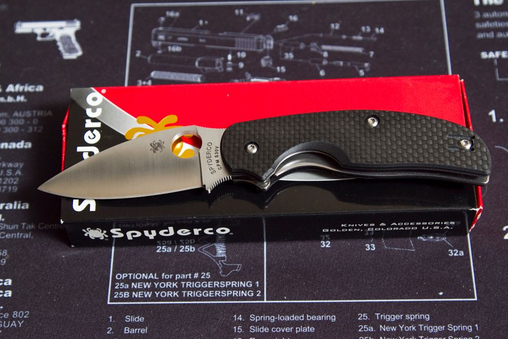SPYDERCOSAGE2.jpg