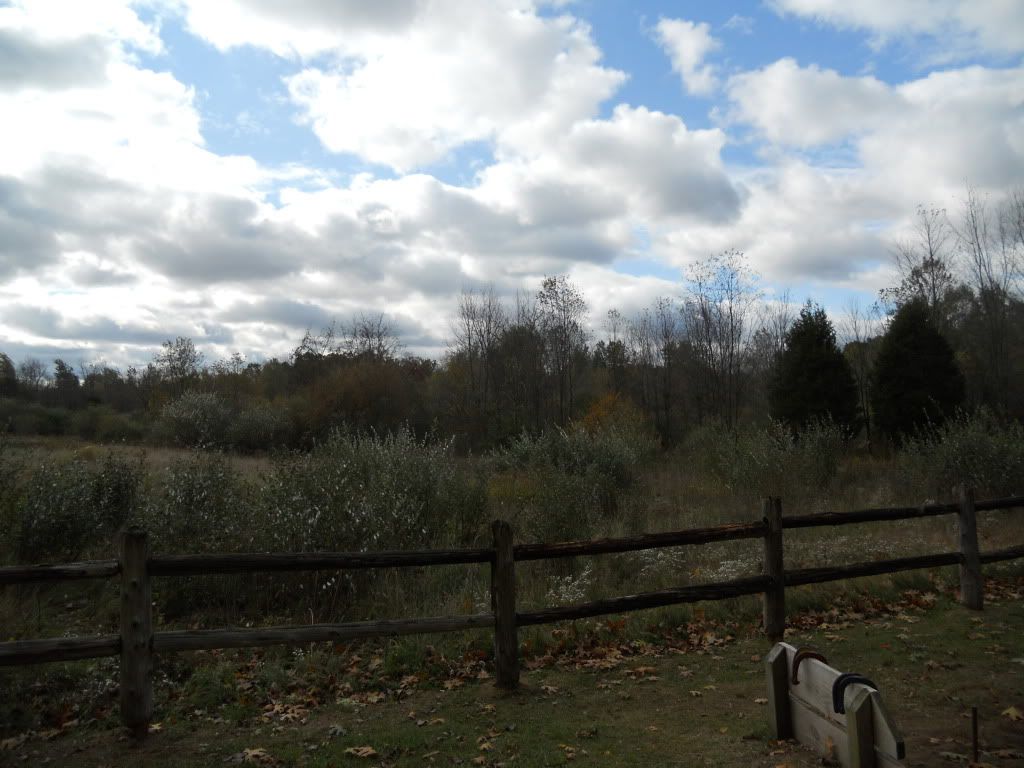 Gathering10-15-11009.jpg
