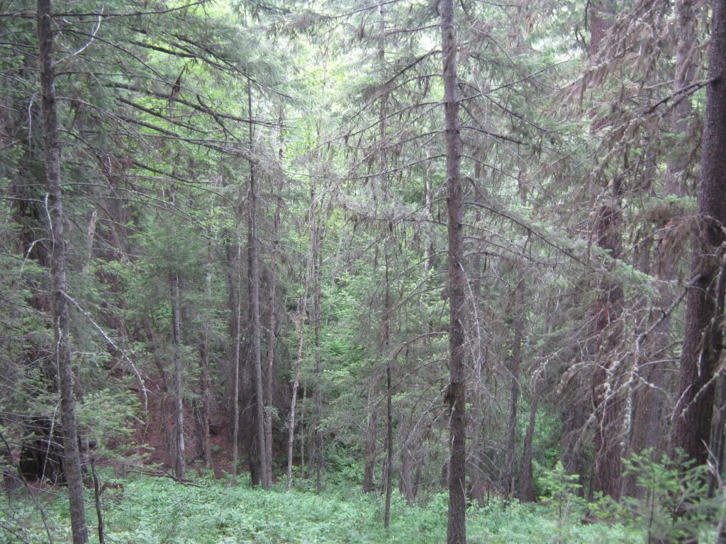 July032010067.jpg