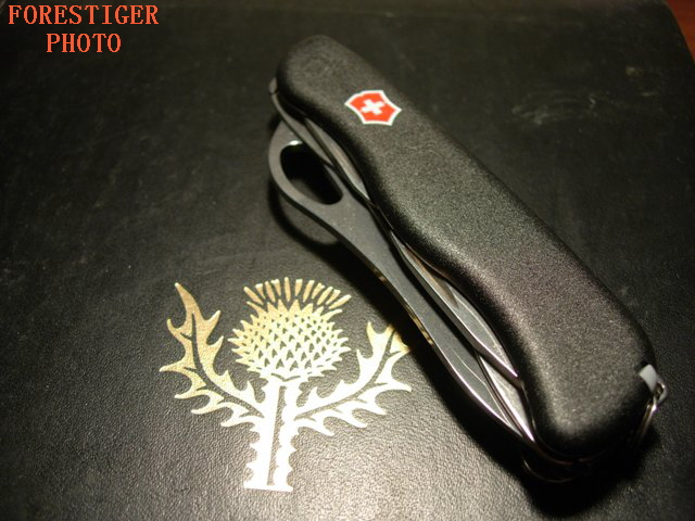 113b247cc41.jpg