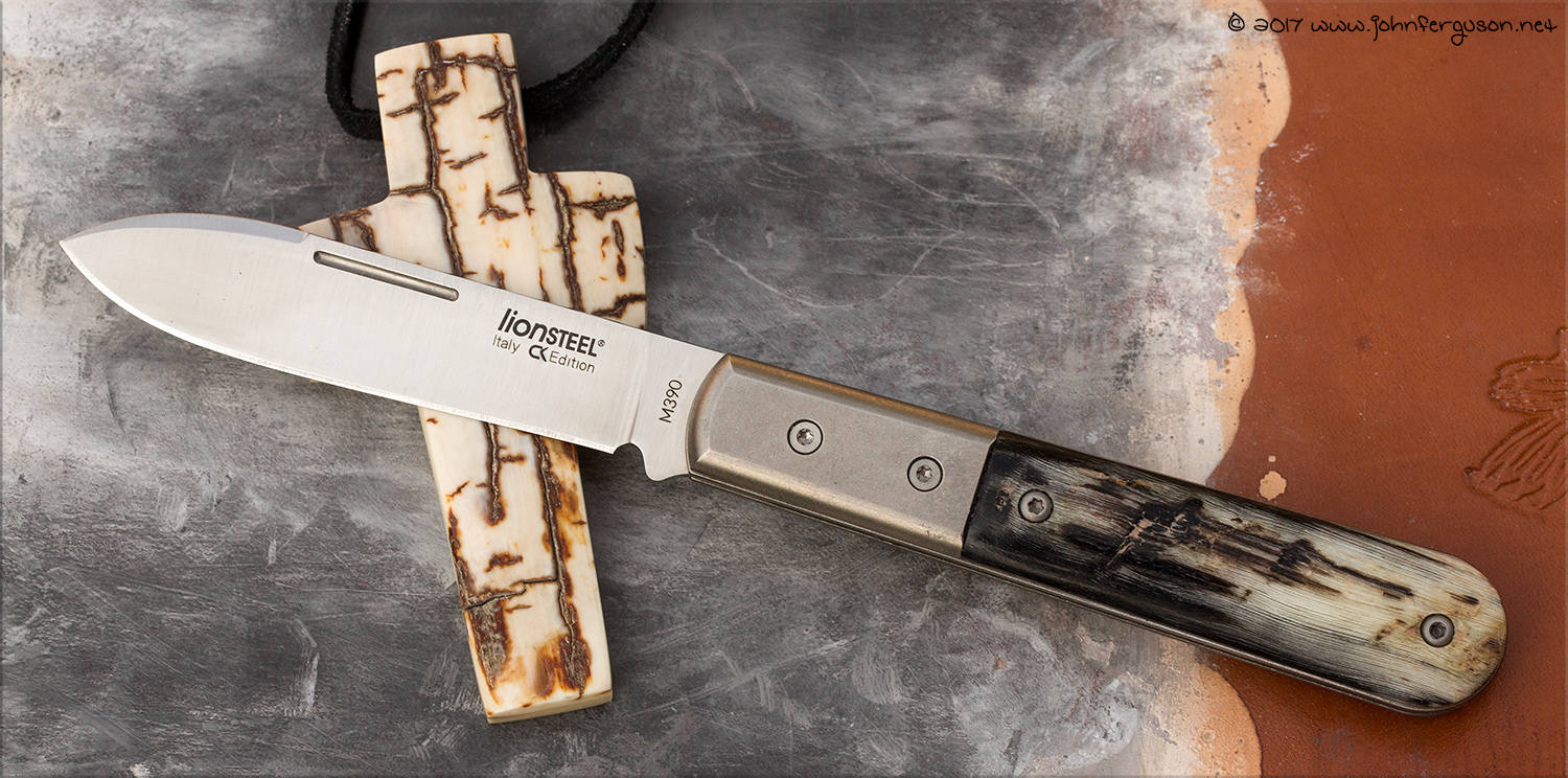 lionsteel1.jpg
