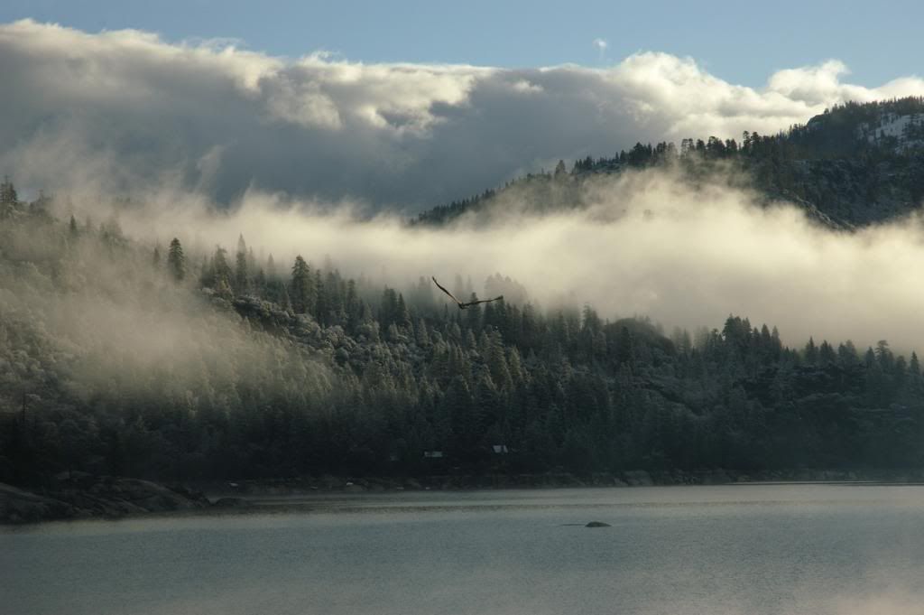 DSC_4446_resize.jpg