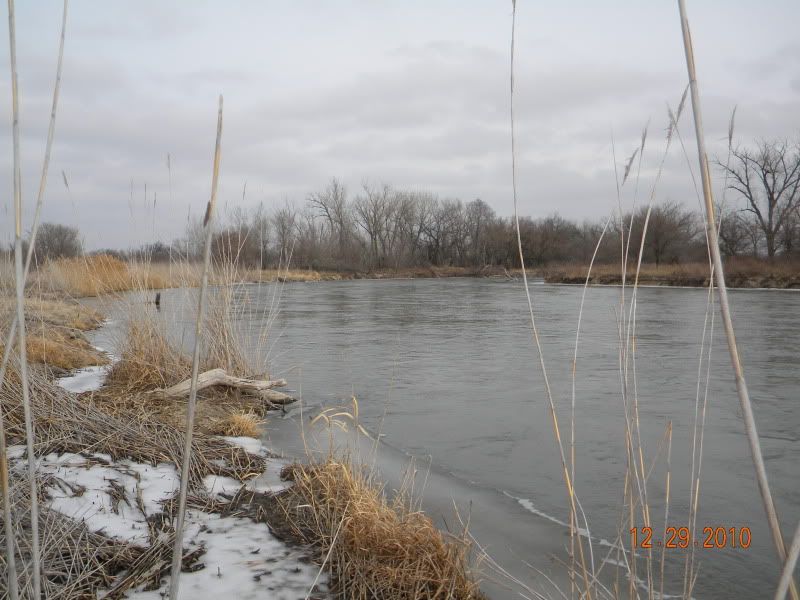 DSCN3225.jpg