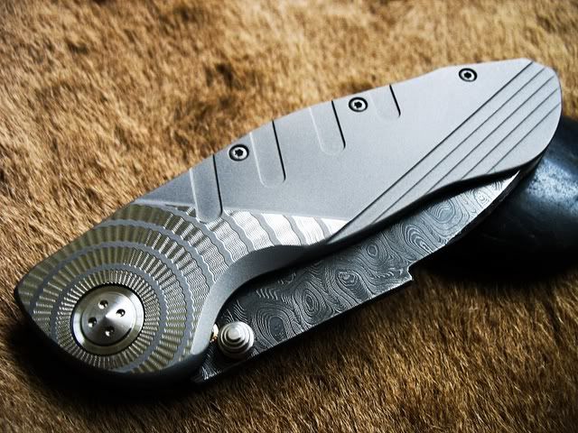 elishewitz002.jpg