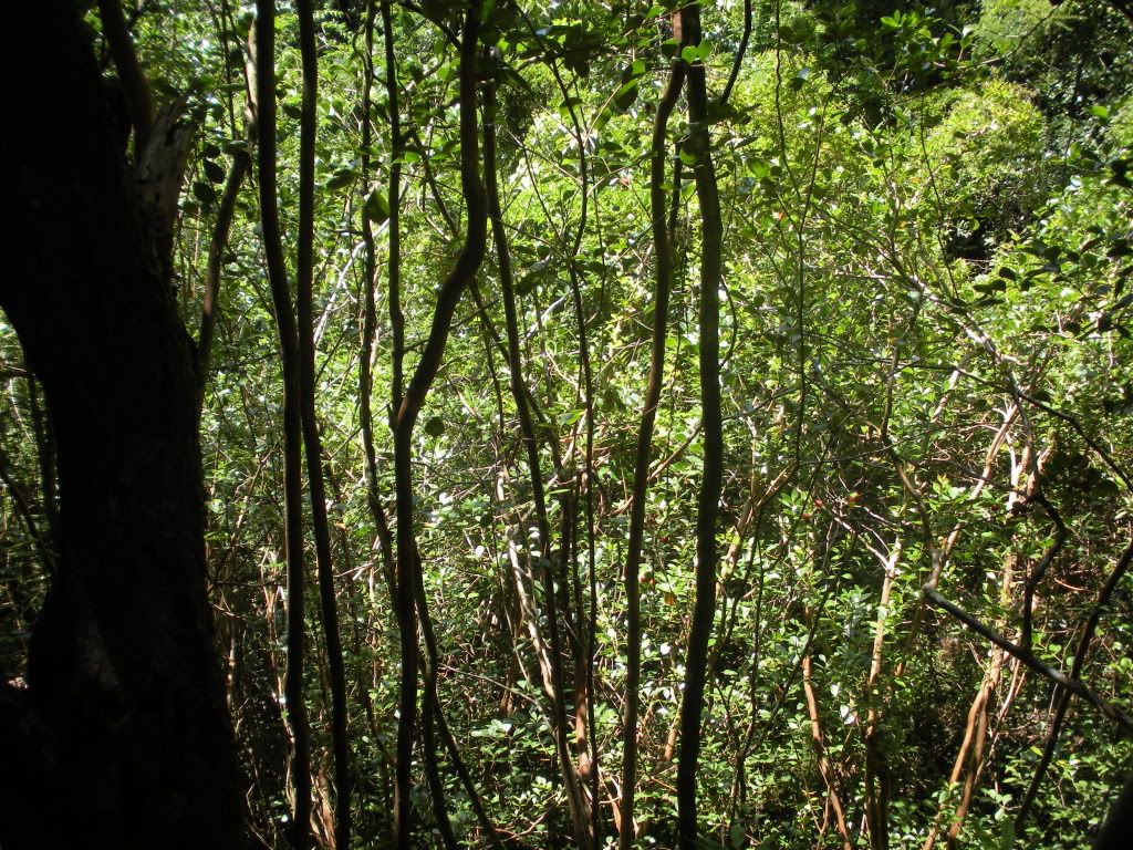 DSCN0704.jpg