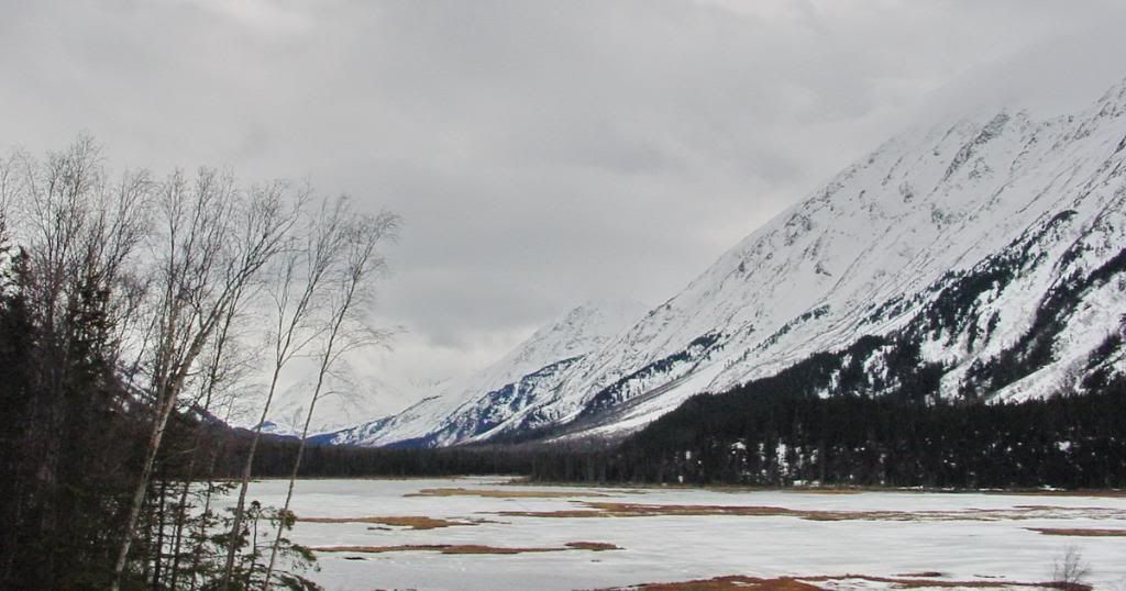 2004-04-2915-58-31_resize.jpg