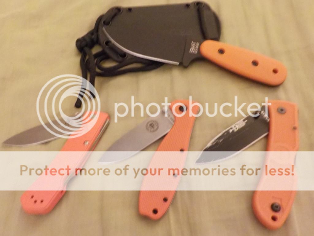 orange_zps547a468f.jpg