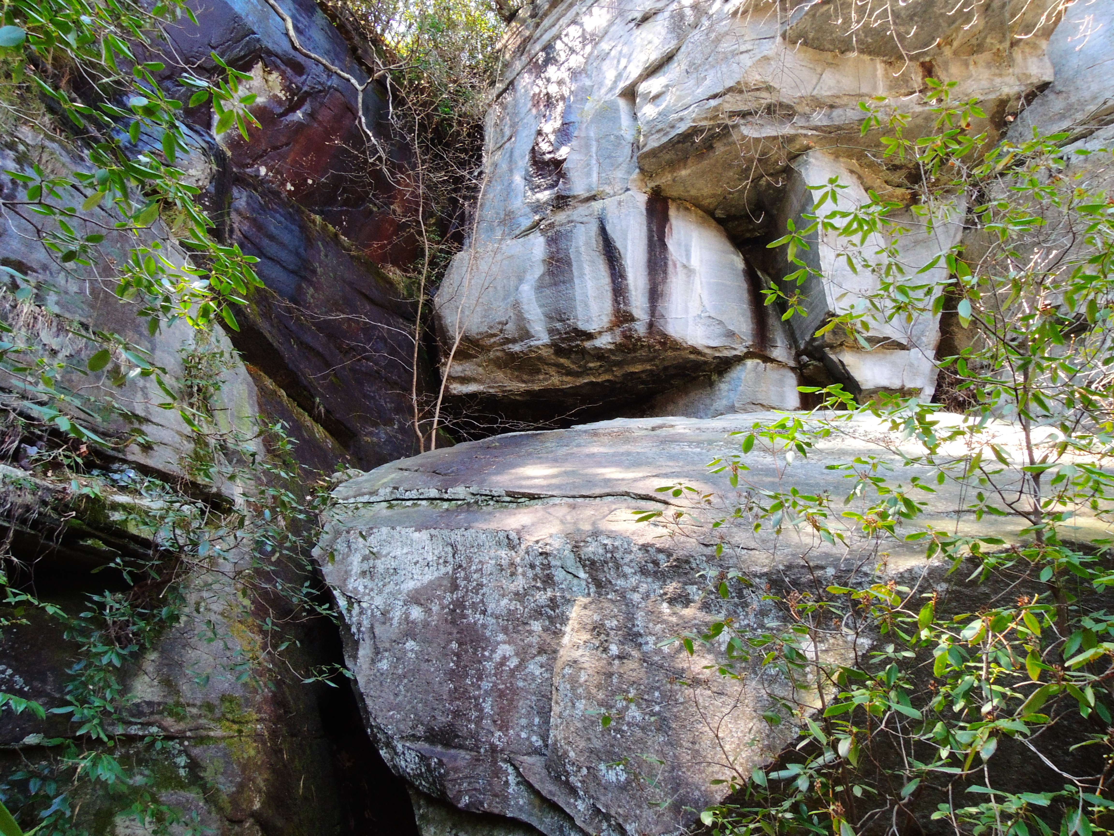 dscn0443qg.jpg