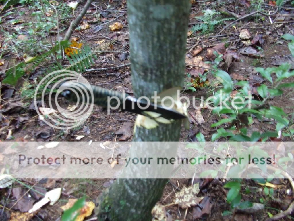 DSCF5498.jpg