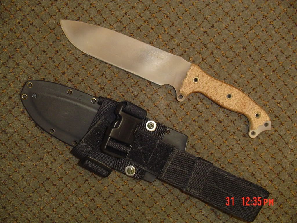 BusseFSH004.jpg