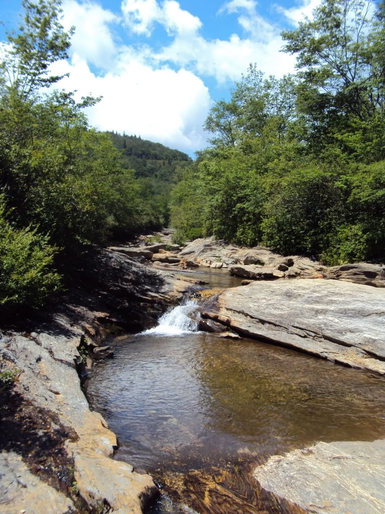 DSC00691.jpg