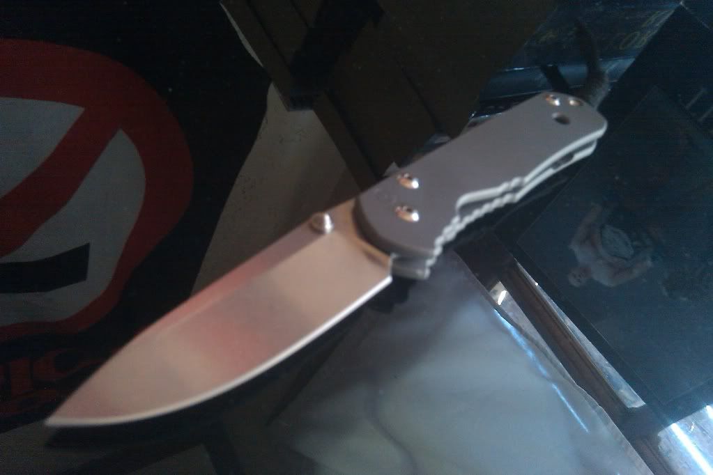 IMAG0175.jpg