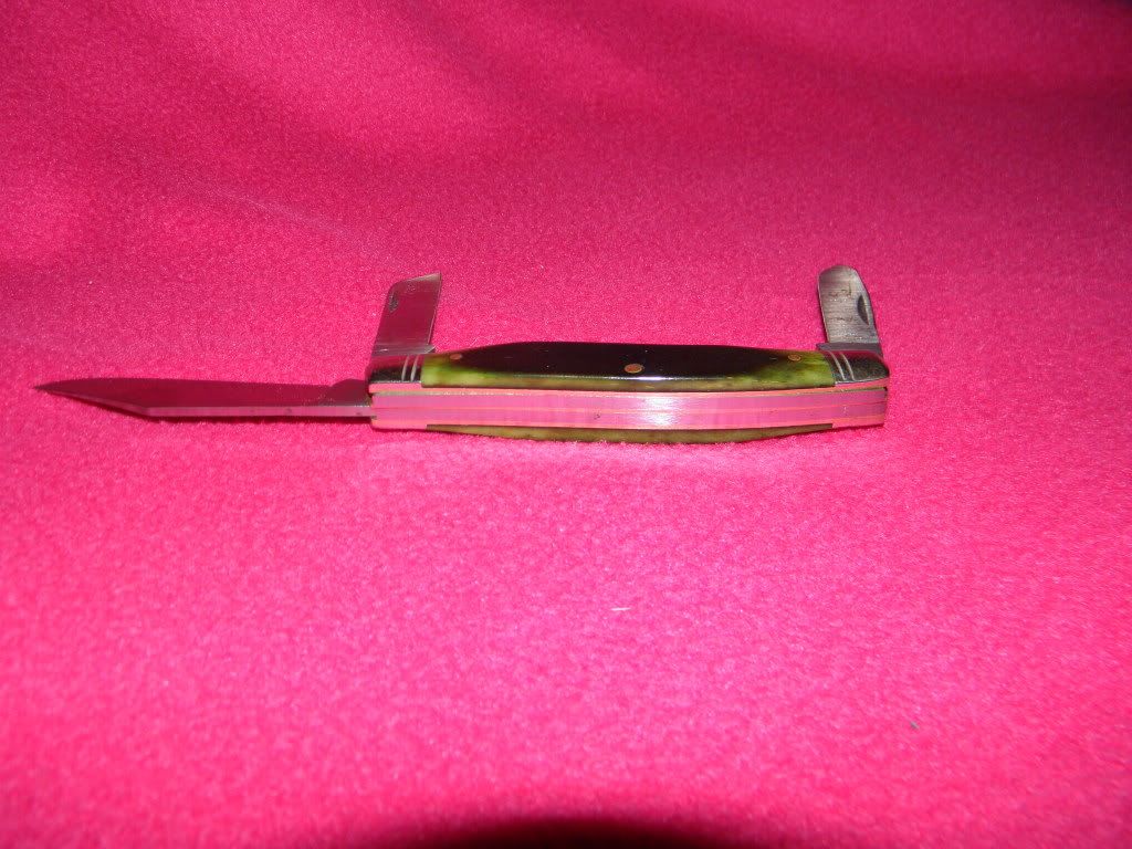 yellowjacketandgreenboneschrade038.jpg