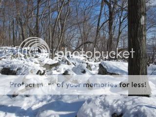 IMG_3133.jpg