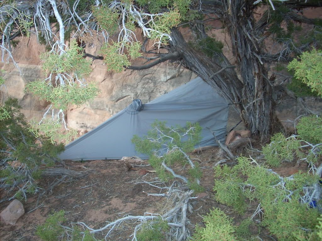 DSCN0768.jpg