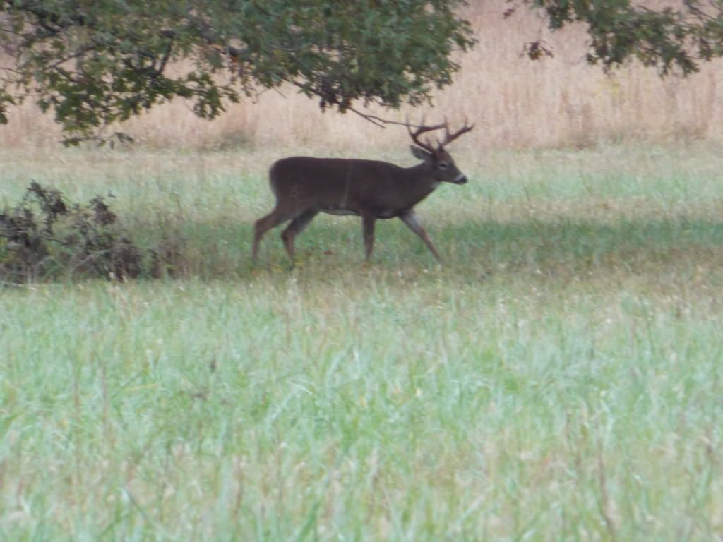 CadesCove10-7-12079.jpg
