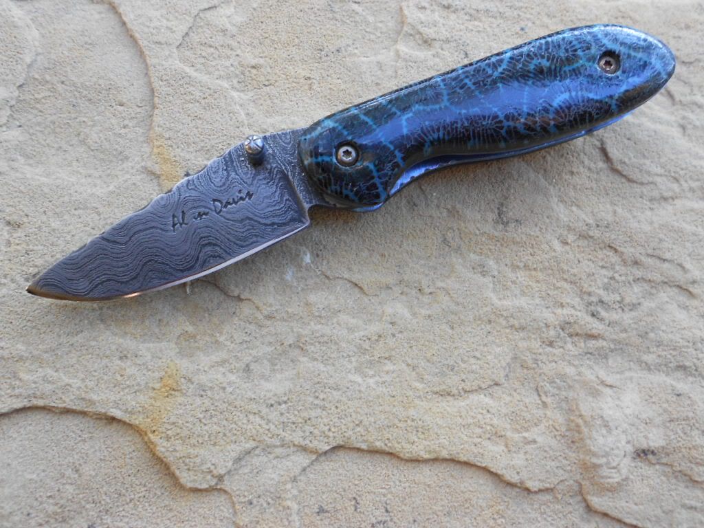 FossilcoralDam051.jpg