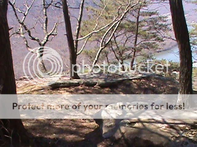 DSC00246-1.jpg