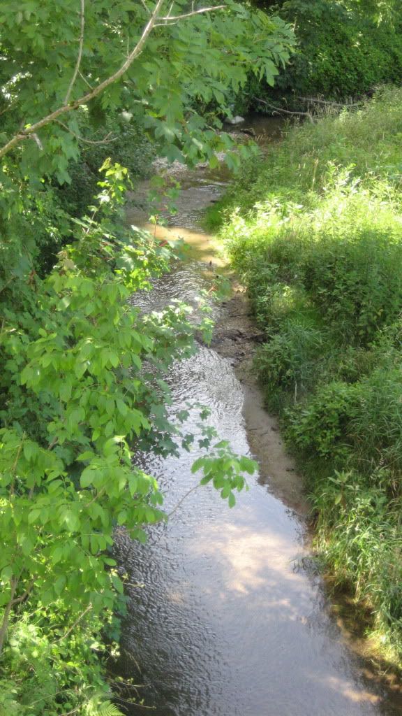 IMG_1655.jpg