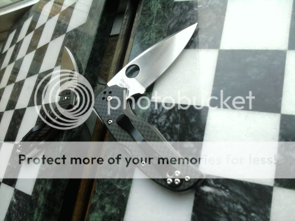 2010-12-10161136.jpg