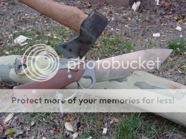 KosterSurvivor005.jpg