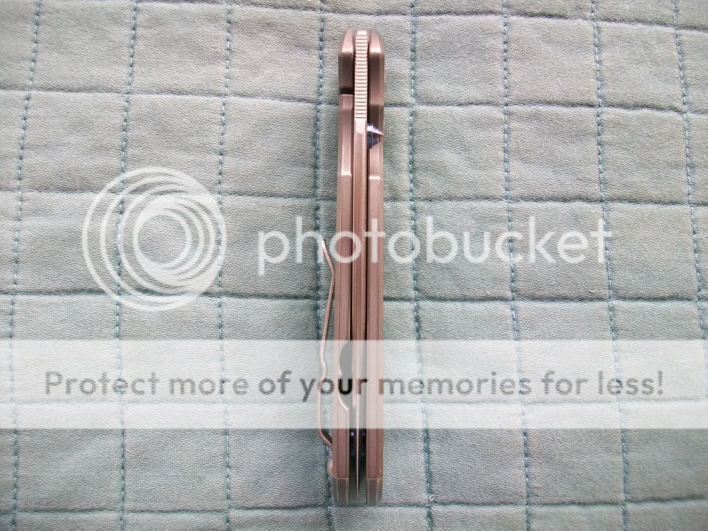 100_2961.jpg