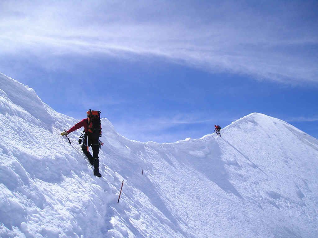 008Topgraat.jpg