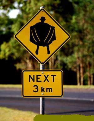 flasher.jpg
