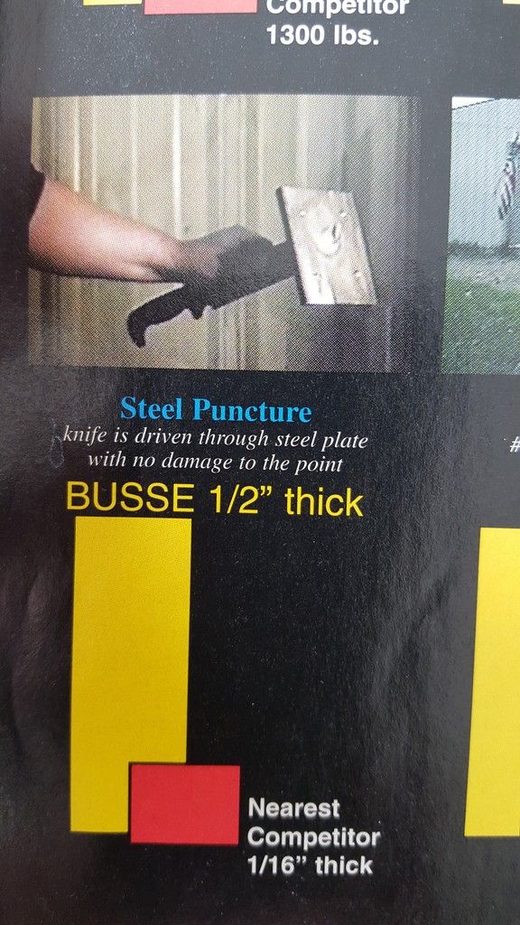 Busse7.jpg