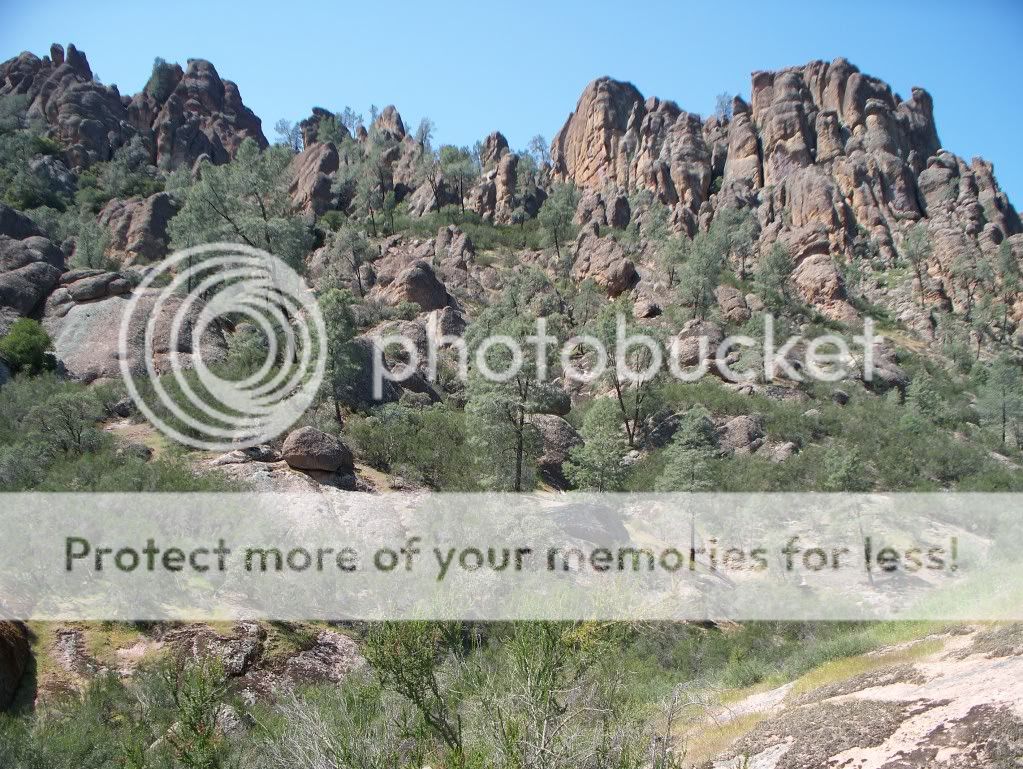 Pinnacles2010018.jpg