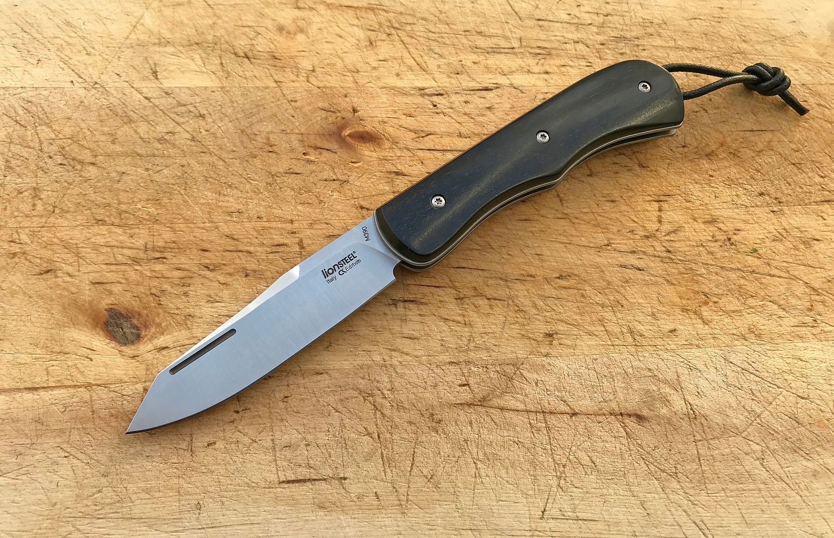 Lionsteel%2002.jpg