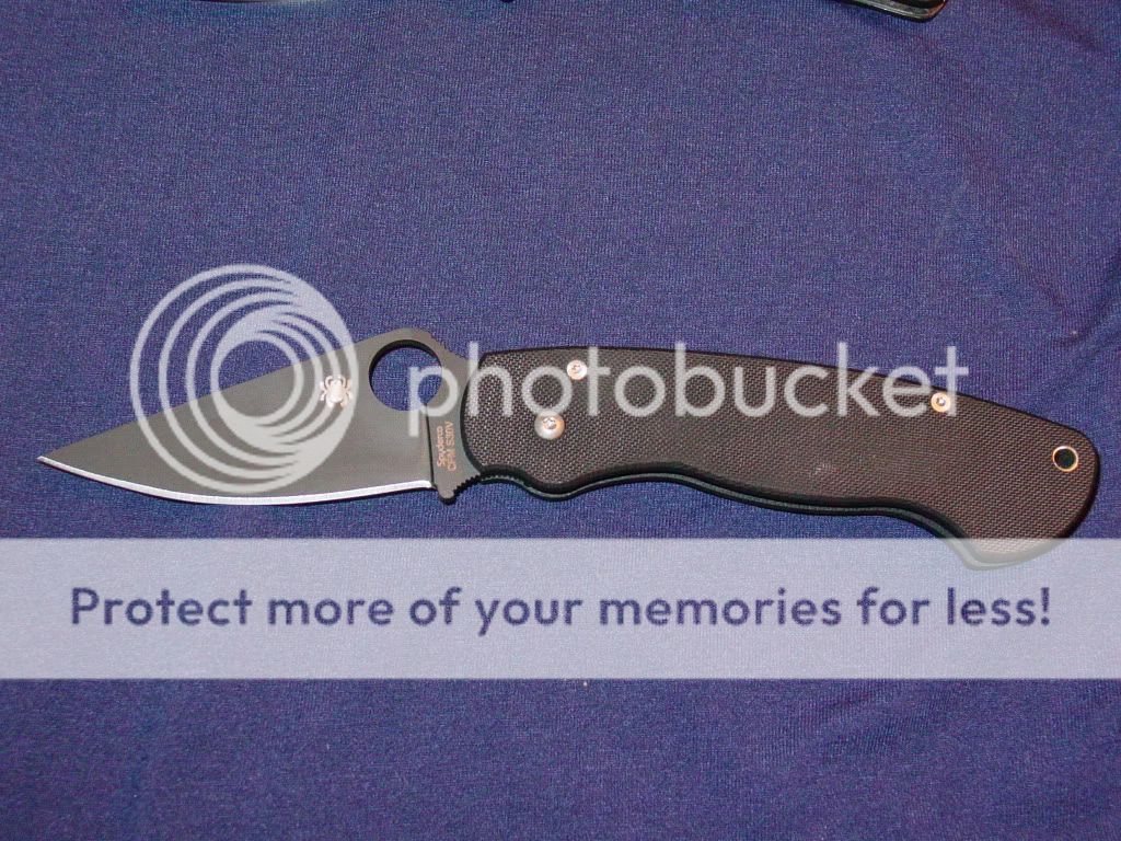 dylansspydies003.jpg